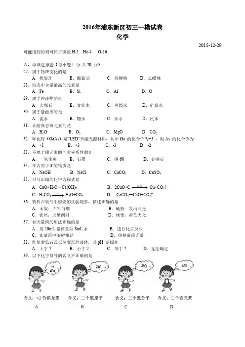 【VIP专享】2016年浦东新区初三化学一模试卷(含答案)
