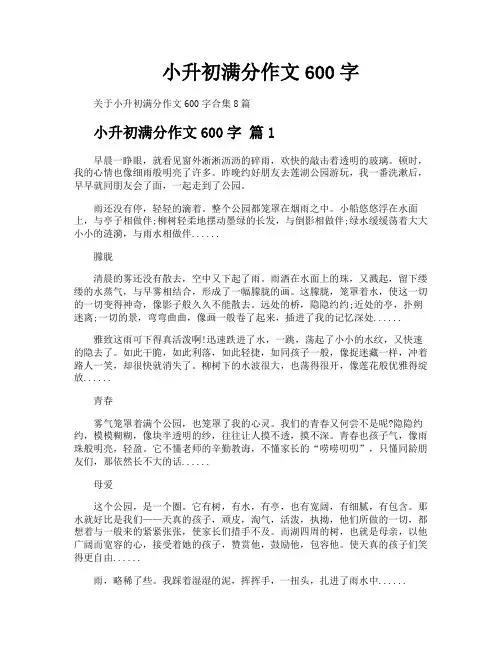 小升初满分作文600字