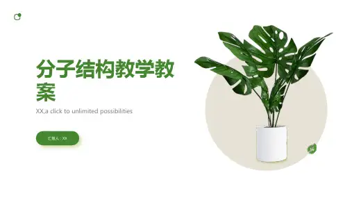 分子结构教学教案