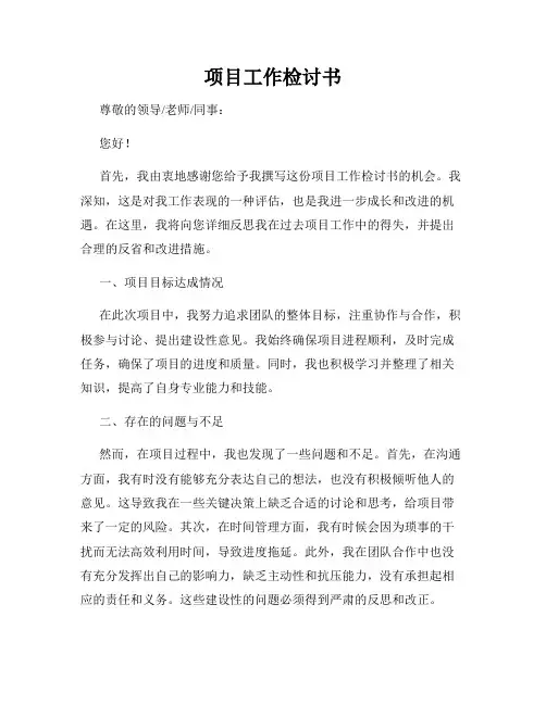 项目工作检讨书
