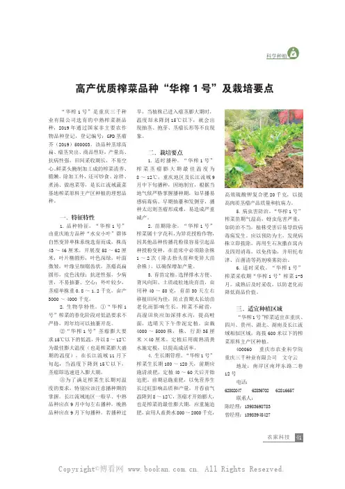 高产优质榨菜品种“华榨1号”及栽培要点