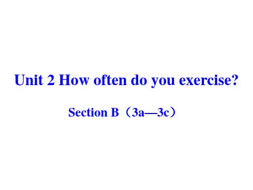 人教英语八年级上册 Unit2Section B(3a—3c)  (共20张PPT)