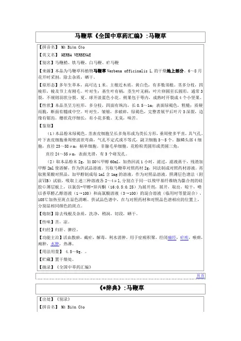马鞭草《全国中草药汇编》