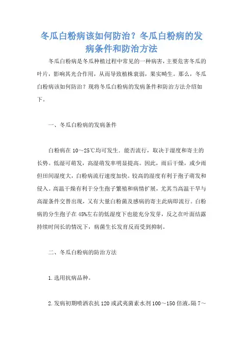 冬瓜白粉病该如何防治？冬瓜白粉病的发病条件和防治方法