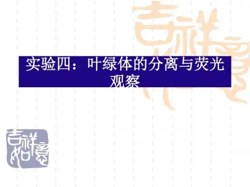 高中生物 实验四：叶绿体的分离与荧光观察
