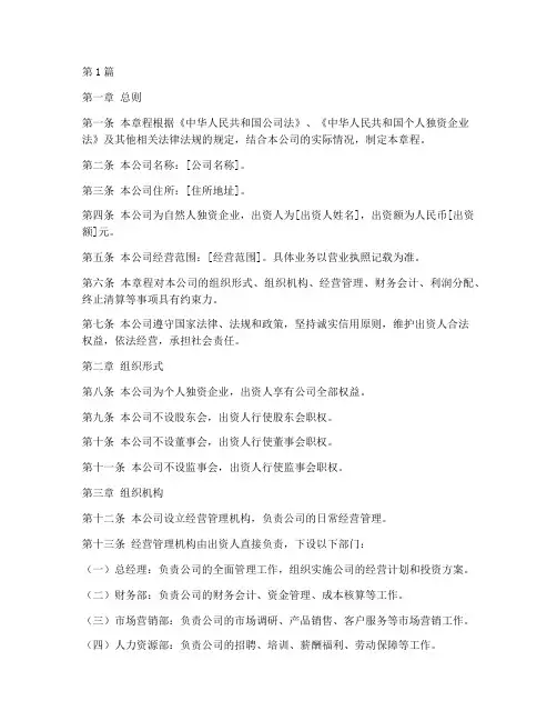 公司章程自然人独资(3篇)