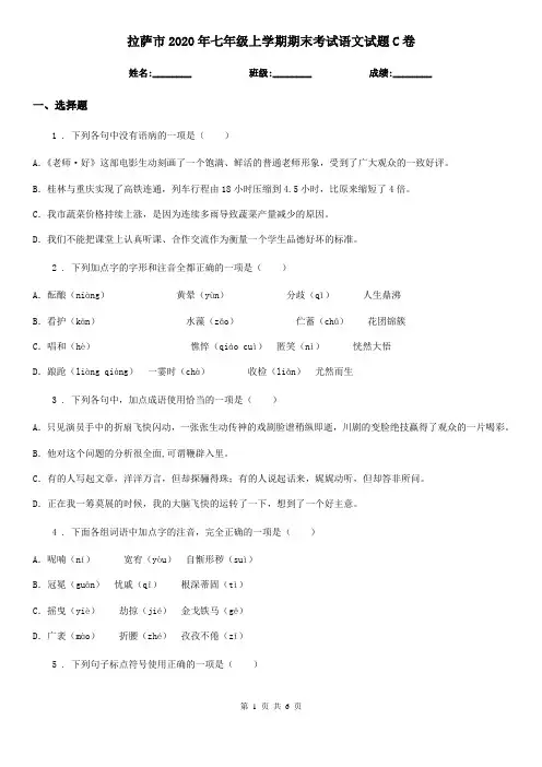 拉萨市2020年七年级上学期期末考试语文试题C卷