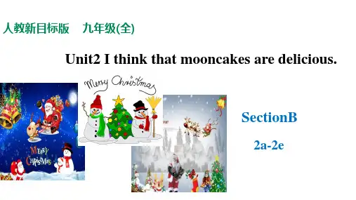 Unit 2  Section B 2a-2e  九年级英语全一册课件(人教版新目标)
