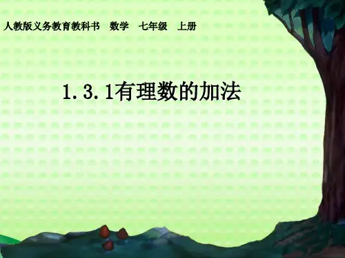 1.3有理数的加减法(通用)