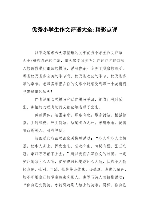 优秀小学生作文评语大全-精彩点评