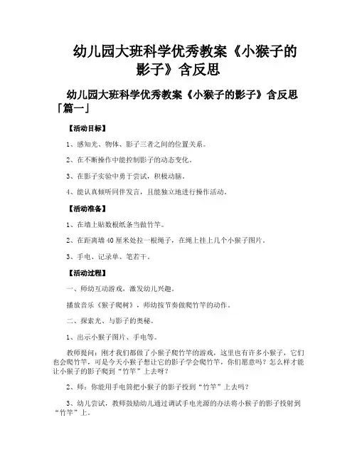 幼儿园大班科学优秀教案《小猴子的影子》含反思