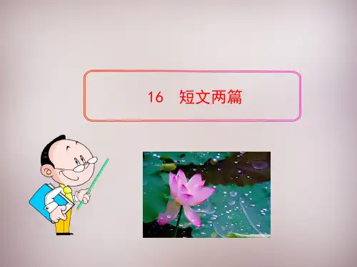 人教版七年级语文下册(2016部编版)16《短文两篇》课件 (共43张PPT)