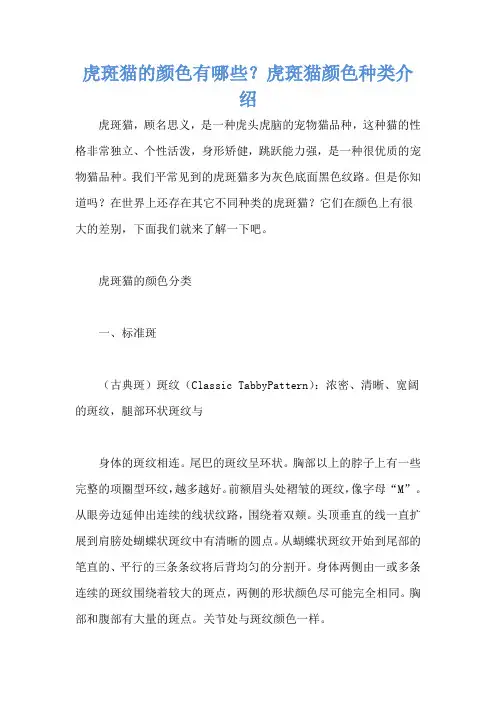 虎斑猫的颜色有哪些？虎斑猫颜色种类介绍