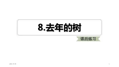 人教部编版三年级上册语文《.去年的树》练习课件(共16张PPT)