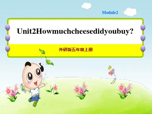 外研版五上英语M2 Unit 2 How much cheese did you buy 作业课件