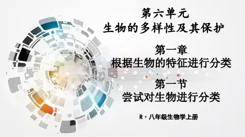 生物人教版八年级(上册)第一节尝试对生物进行分类(2024版新教材)