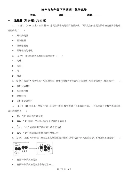 沧州市九年级下学期期中化学试卷