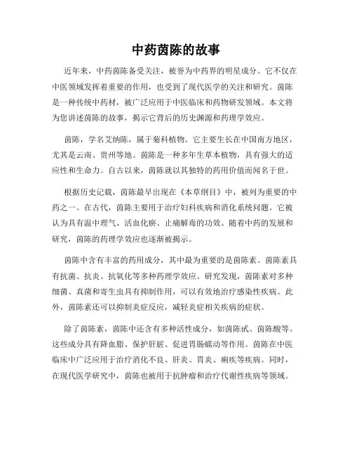 中药茵陈的故事