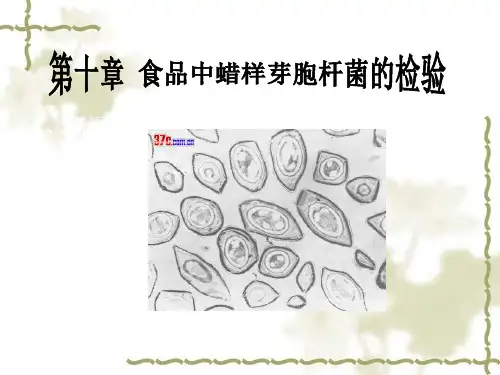 第十章食品中蜡样芽孢杆菌的检验 