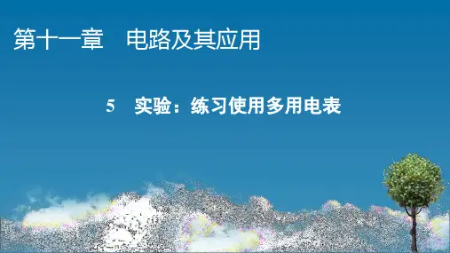 人教版高中物理必修第3册 第11章 5 实验：练习使用多用电表