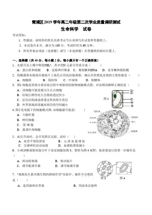 上海市青浦区2020届高三生物二模试卷