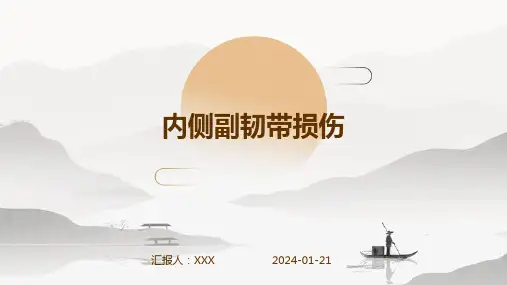 内侧副韧带损伤演示课件