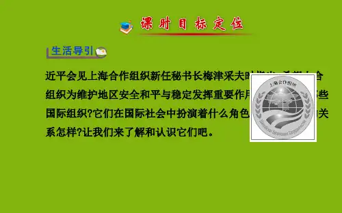 专题一 国际组织概观 教学探究课件(新人教选修3)