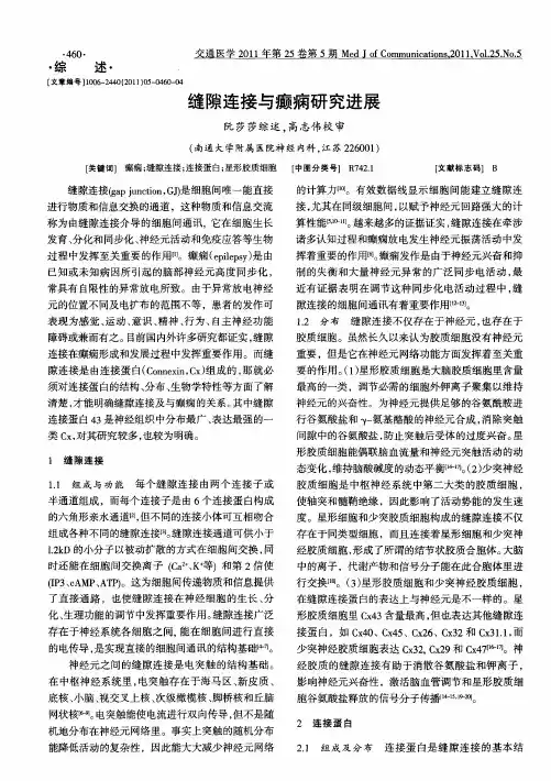 缝隙连接与癫痫研究进展