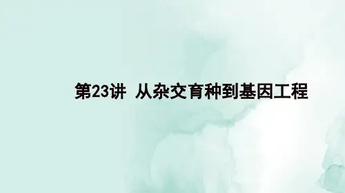 高三生物一轮复习精品课件5：第23讲 从杂交育种到基因工程