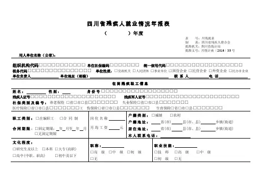 四川省残疾人就业情况年报表