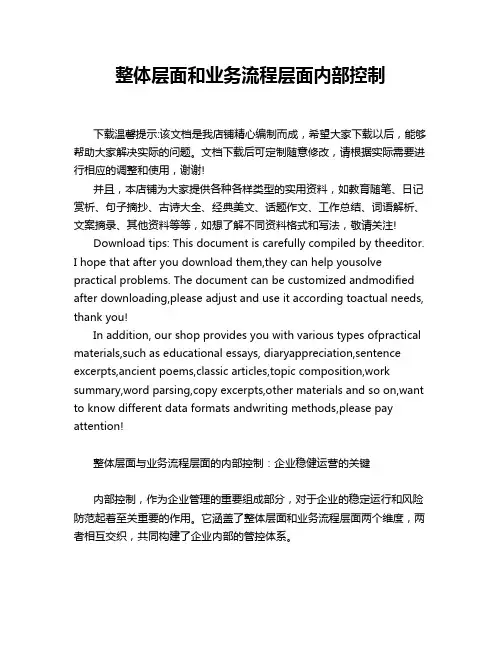 整体层面和业务流程层面内部控制