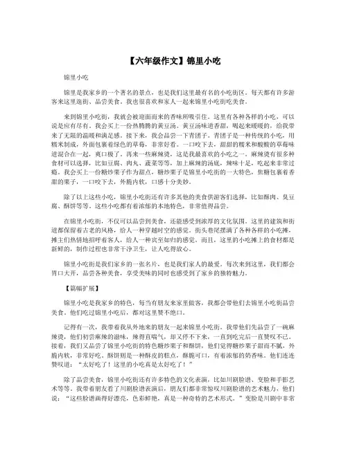 【六年级作文】锦里小吃
