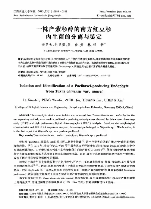 一株产紫杉醇的南方红豆杉内生菌的分离与鉴定