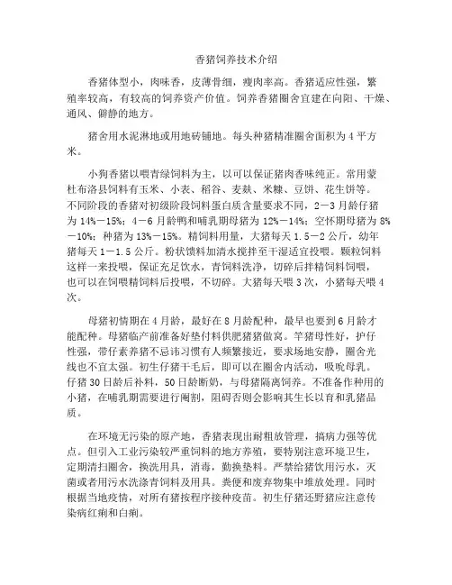 香猪饲养技术介绍