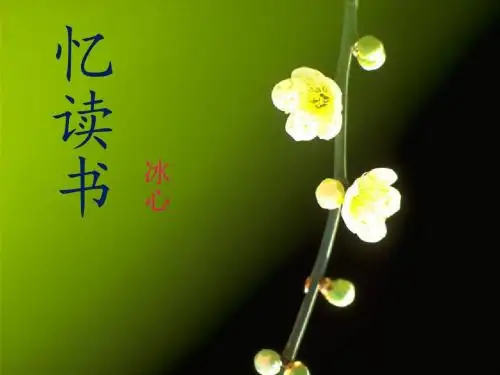 《忆读书》PPT课件5 (共23张PPT)