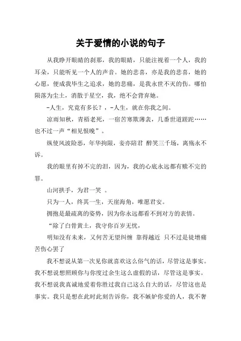 关于爱情的小说的句子