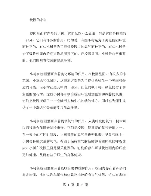 校园的小树作文范文