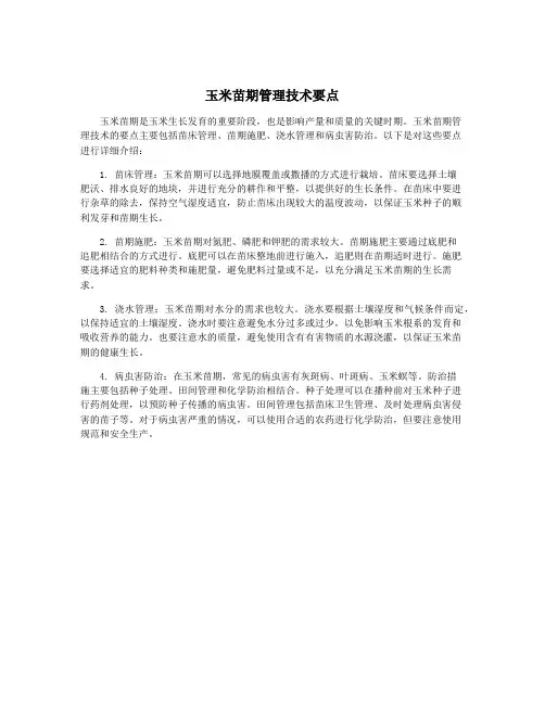 玉米苗期管理技术要点
