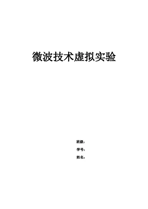 西电微波实验