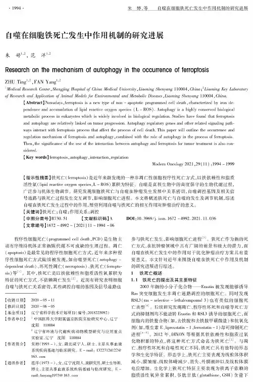 自噬在细胞铁死亡发生中作用机制的研究进展