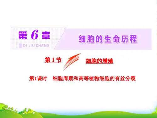 人教版生物必修1课件：第6章 第1节 第1课时 细胞周期和高等植物细胞的有丝分裂