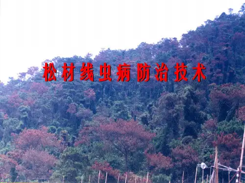 松材线虫病培训