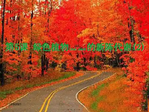 中考科学第5课绿色植物的新陈代谢2复习初中九年级全册自然科学