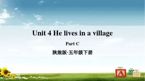 陕旅版五年级英语下册Unit 4 He lives in a village C课件