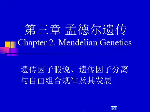 医学遗传学   第三章  孟德尔遗传定律总论