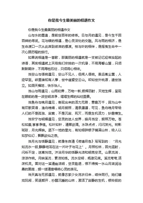 你是我今生最美丽的相遇作文