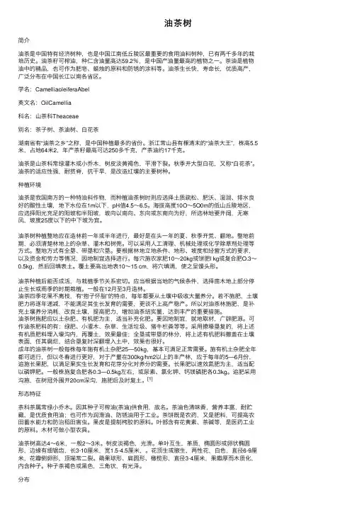 油茶树——精选推荐