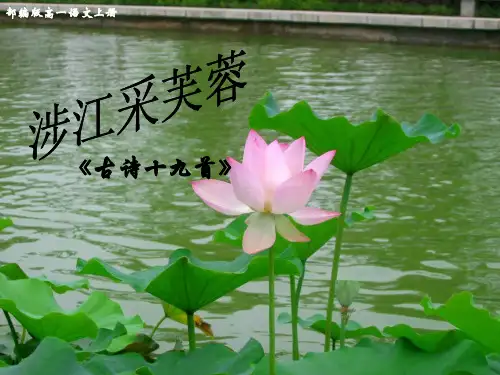 部编版高一语文上册古诗词诵读《涉江采芙蓉》优质教学课件