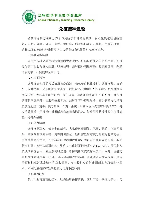 动物疫病预防-免疫预防- 免疫接种途径