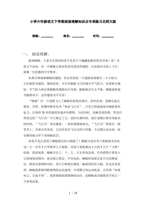 小学六年级语文下学期阅读理解知识点专项练习北师大版